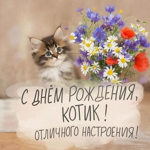 Прикольный котёнок с букетом цветов на открытке с днем рождения для девушки