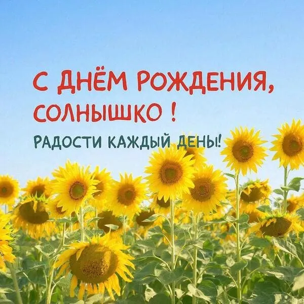Открытка с днем рождения для девушки с полем подсолнухов, пожелание радости