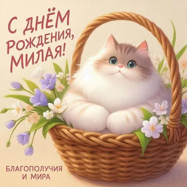 Милый котёнок в корзине с цветами на открытке с днем рождения для девушки