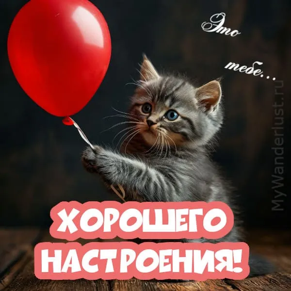 Открытка с надписью Улыбнись и хорошего дня, бесплатное пожелание