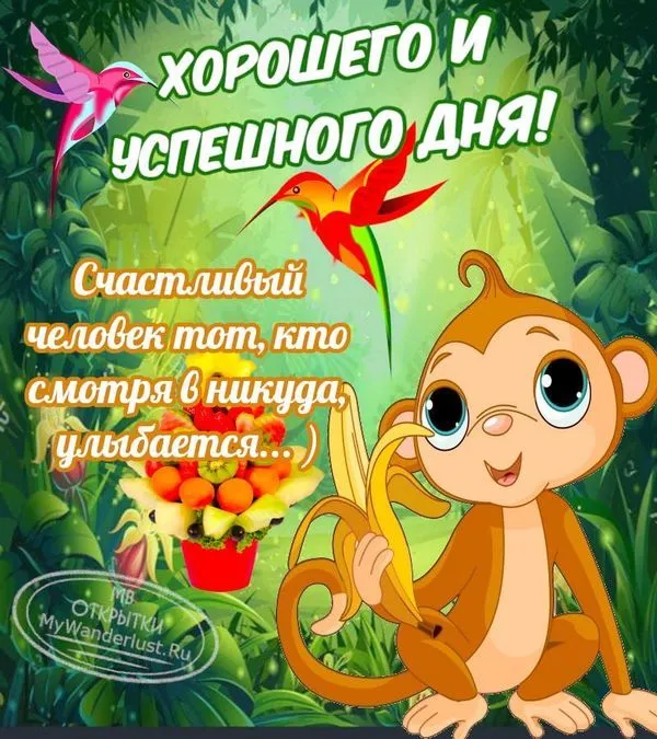 Смешное пожелание хорошего дня с ромашкой