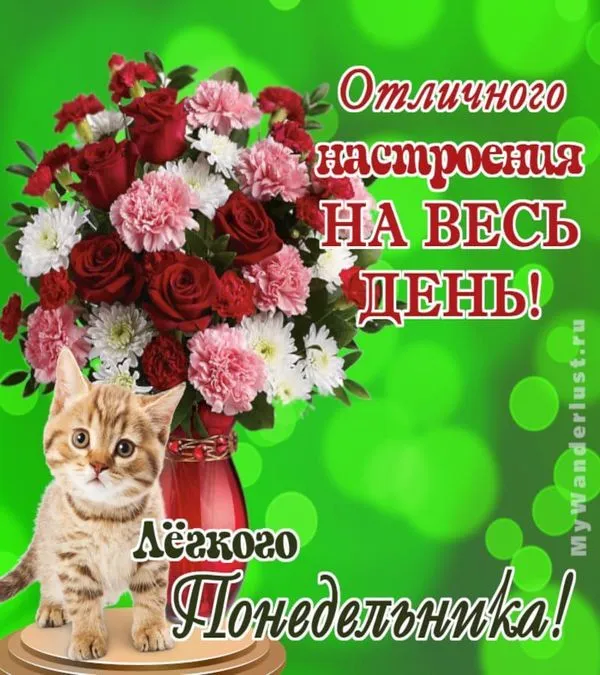 Позитивная утренняя открытка с пожеланием хорошего понедельника